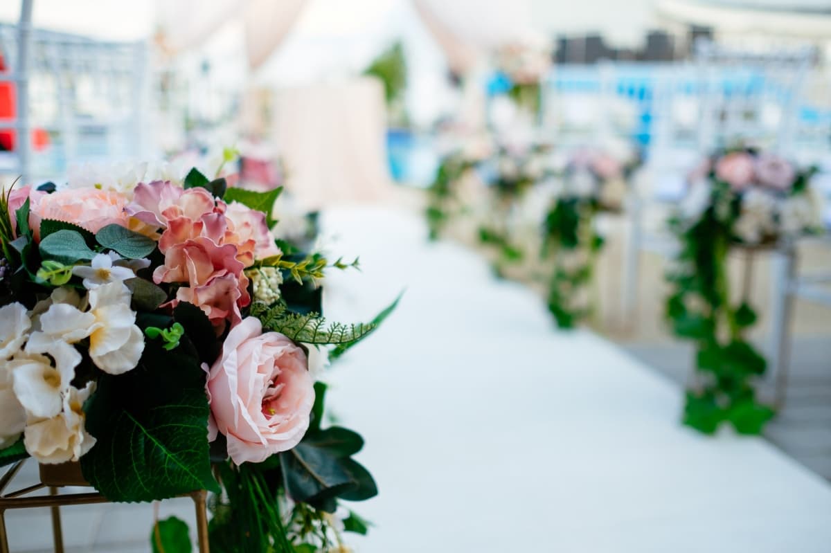 Fotografie de Vision Photography By Geo Dolofan la Papillon