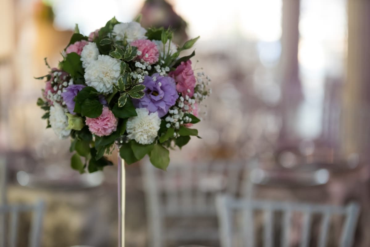 Fotografie de Slagian Peiovici la Prestige Events