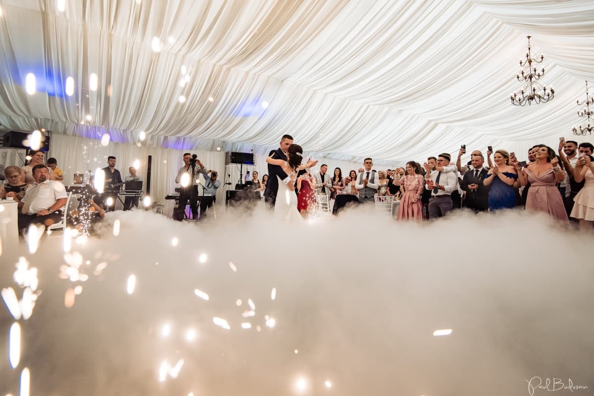 Fotografie de Paul Budusan Fotografie / Videografie de Nunta la Vila Franka