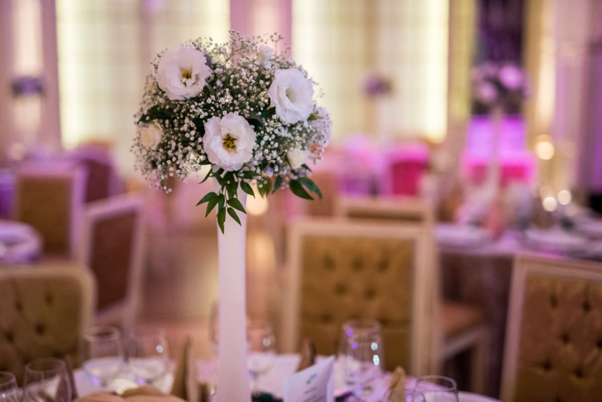 Vila Carol  - locatie pentru nunti in Arad, Arad