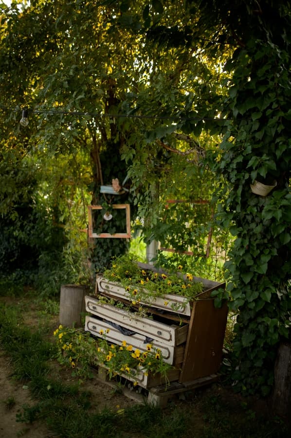 Fotografie de Adi Hadade  la Vineri 15