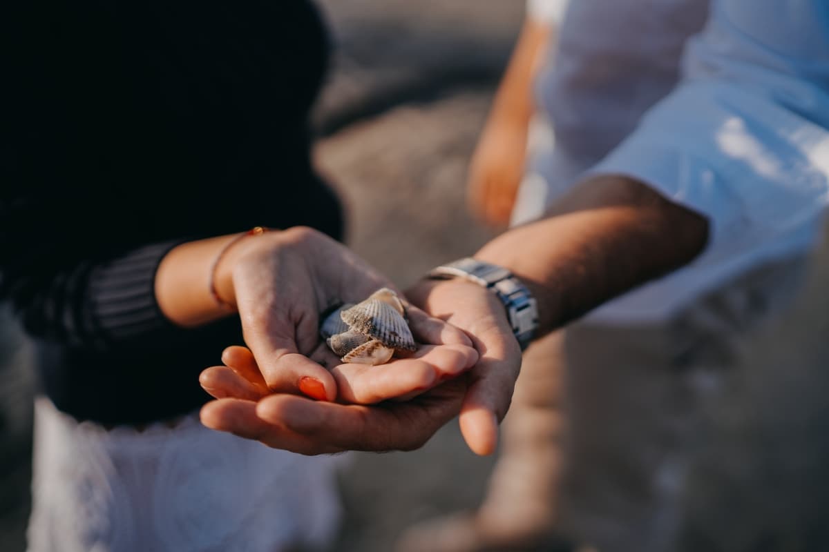 Mamaia - locatie pentru nunti in Constanța, Constanța