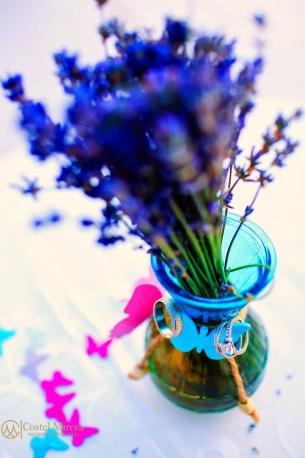 Fotografie de Costel Mircea  la Jardin Des Merveilles