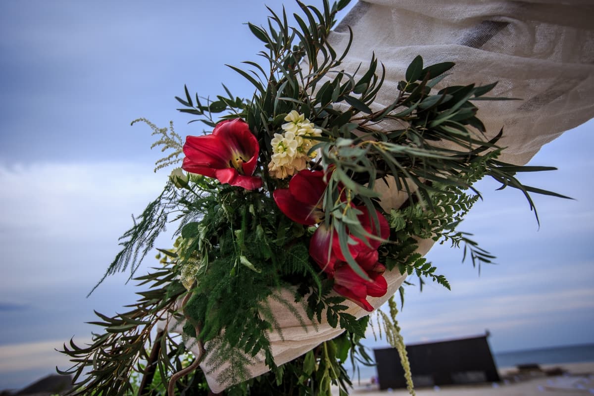 Fotografie de Mihai Zaharia Photography la Chevalet 