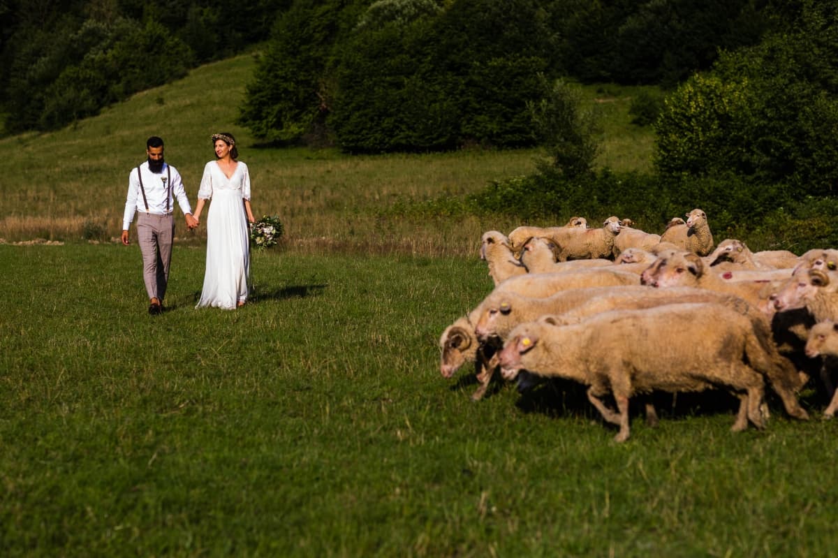 Fotografie de Sebastian Purice la Cabana Groapa Frumoasa