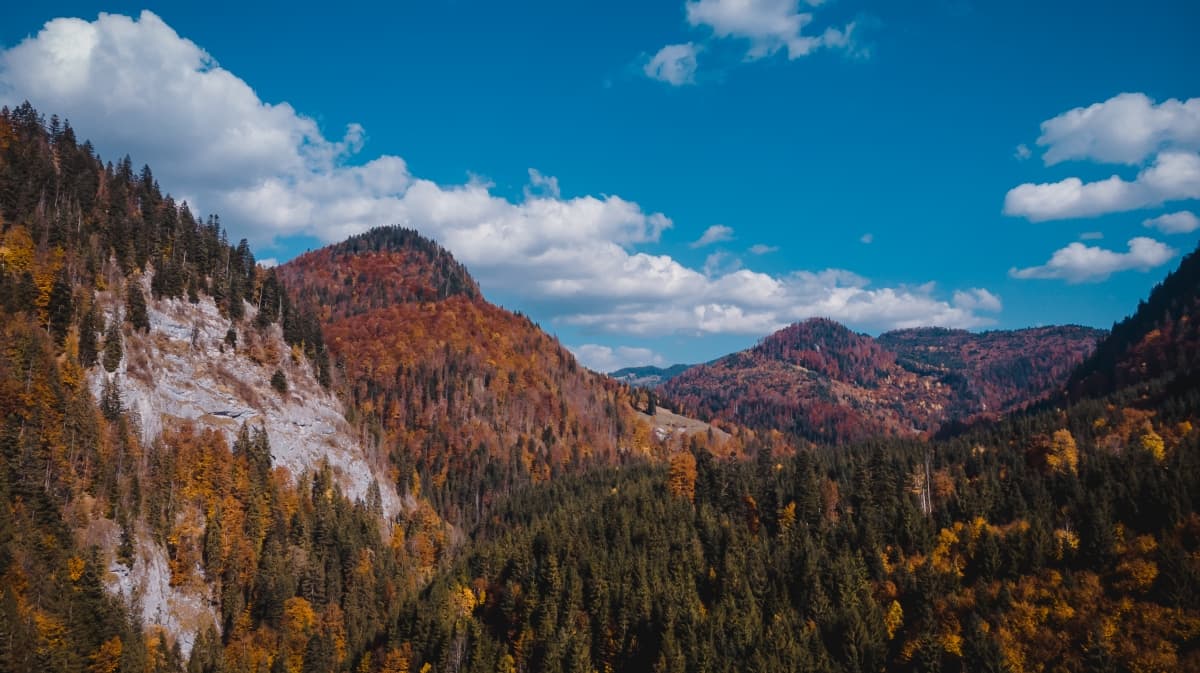 Parcul Natural Apuseni - locatie pentru nunti in Bihor