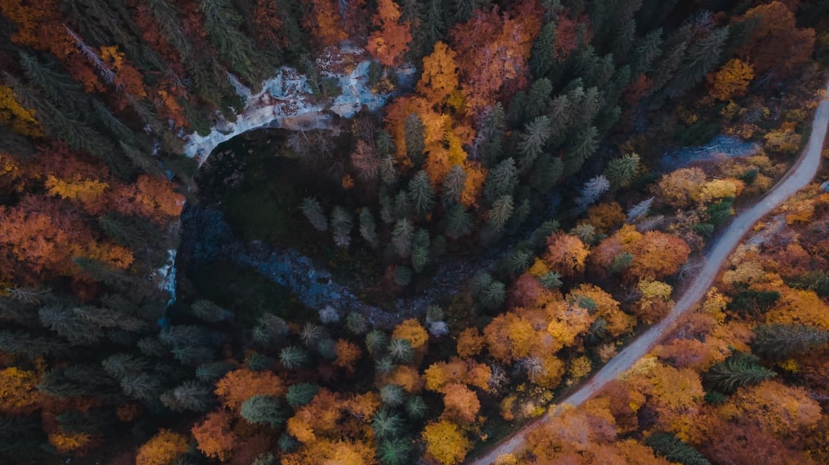 Fotografie de Tudose Alex ( Fotograf &amp; Videograf ) la Parcul Natural Apuseni