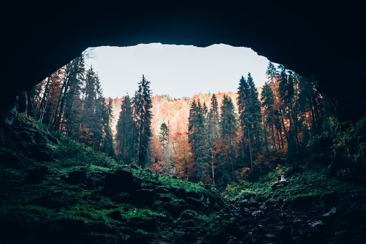 Fotografie de Tudose Alex ( Fotograf &amp; Videograf ) la Parcul Natural Apuseni