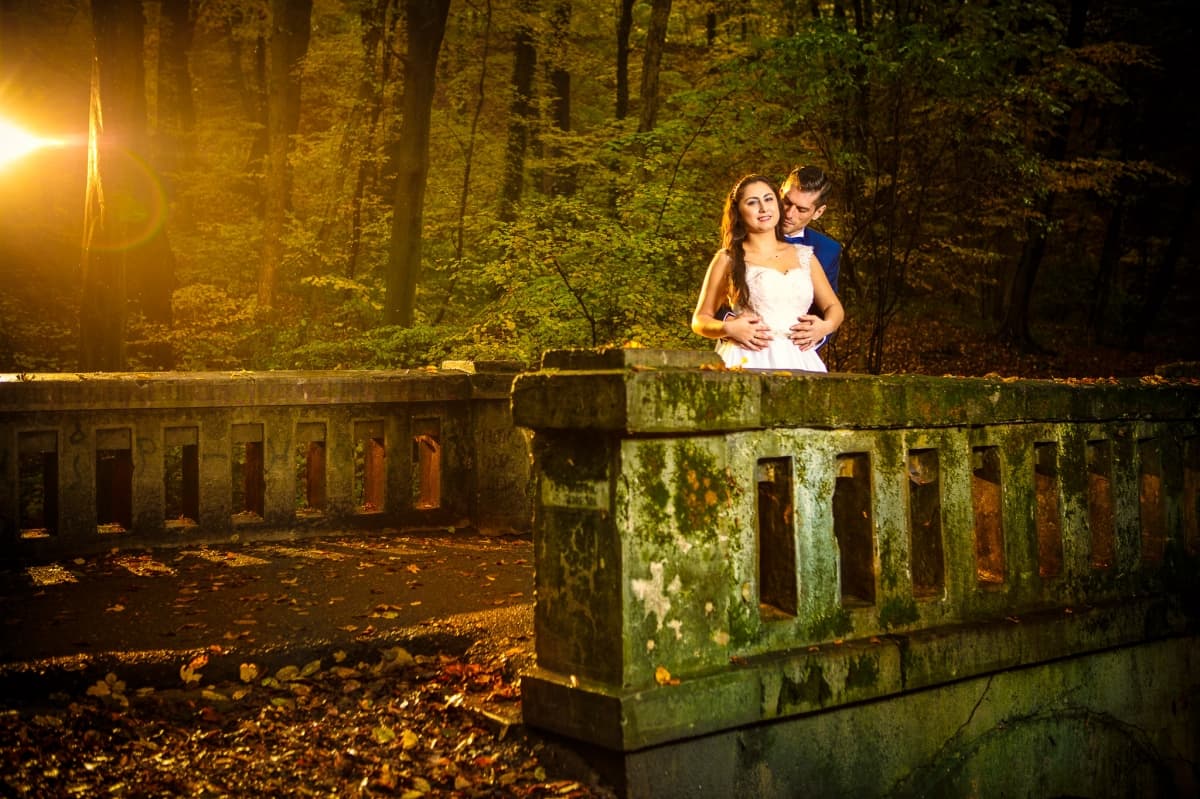 Fotografie de Vision Photography By Geo Dolofan la Padurea Trivale