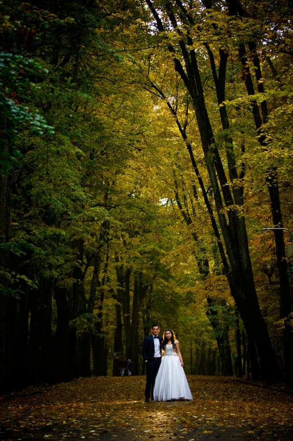 Fotografie de Vision Photography By Geo Dolofan la Padurea Trivale