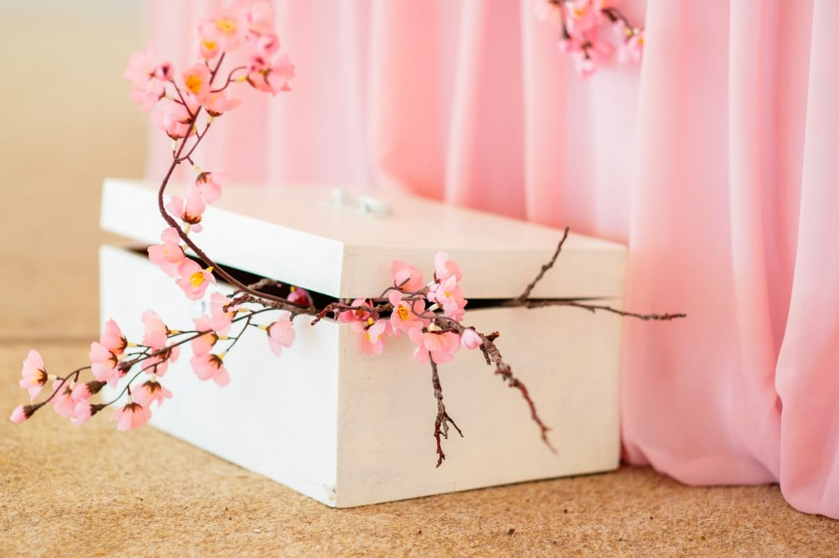 Fotografie de Vision Photography By Geo Dolofan la Drobeta Turnu Severin