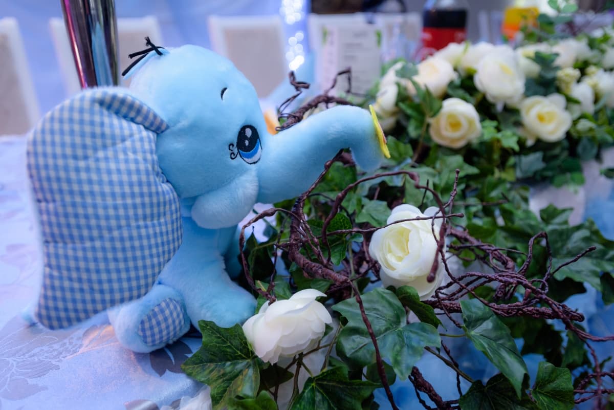 Pizzeria Santana - locatie pentru nunti in Sântana, Arad