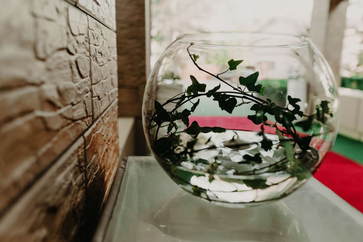 Classic Ballroom  - locatie pentru nunti in Vaslui, Vaslui