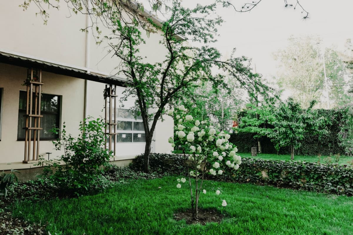 Fotografie de Lights and Tales la Classic Ballroom 