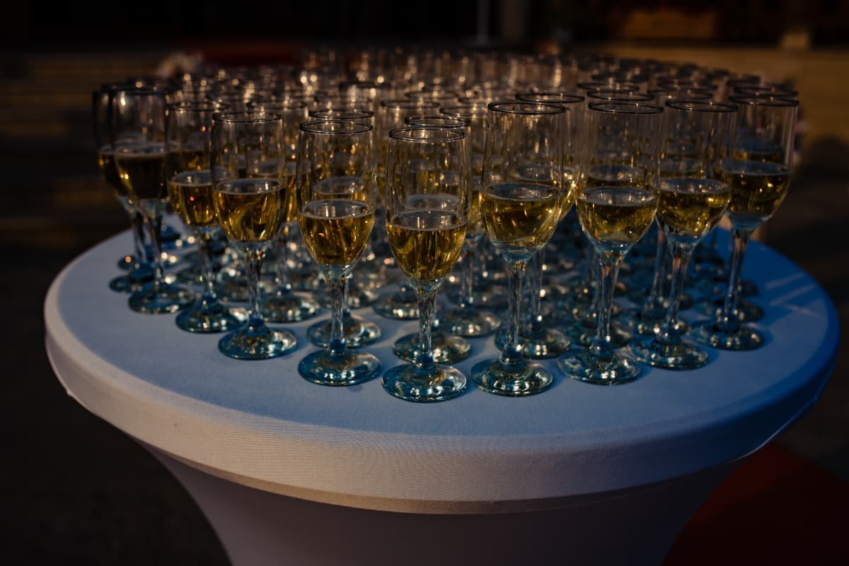 Pensiunea Minerva - locatie pentru nunti in Hălmăgel, Arad