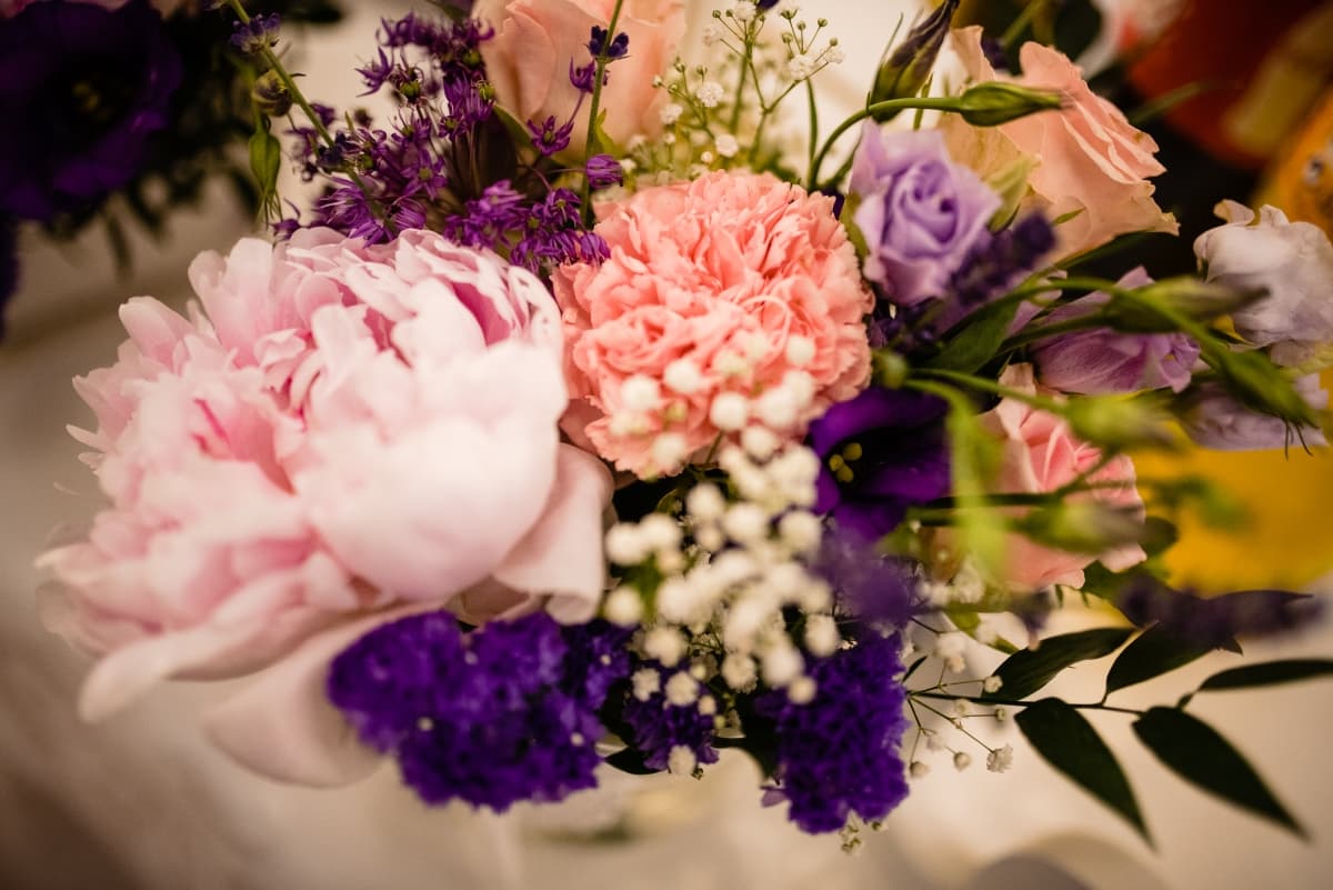 Fotografie de Nelutu Rosu la Pensiunea Minerva