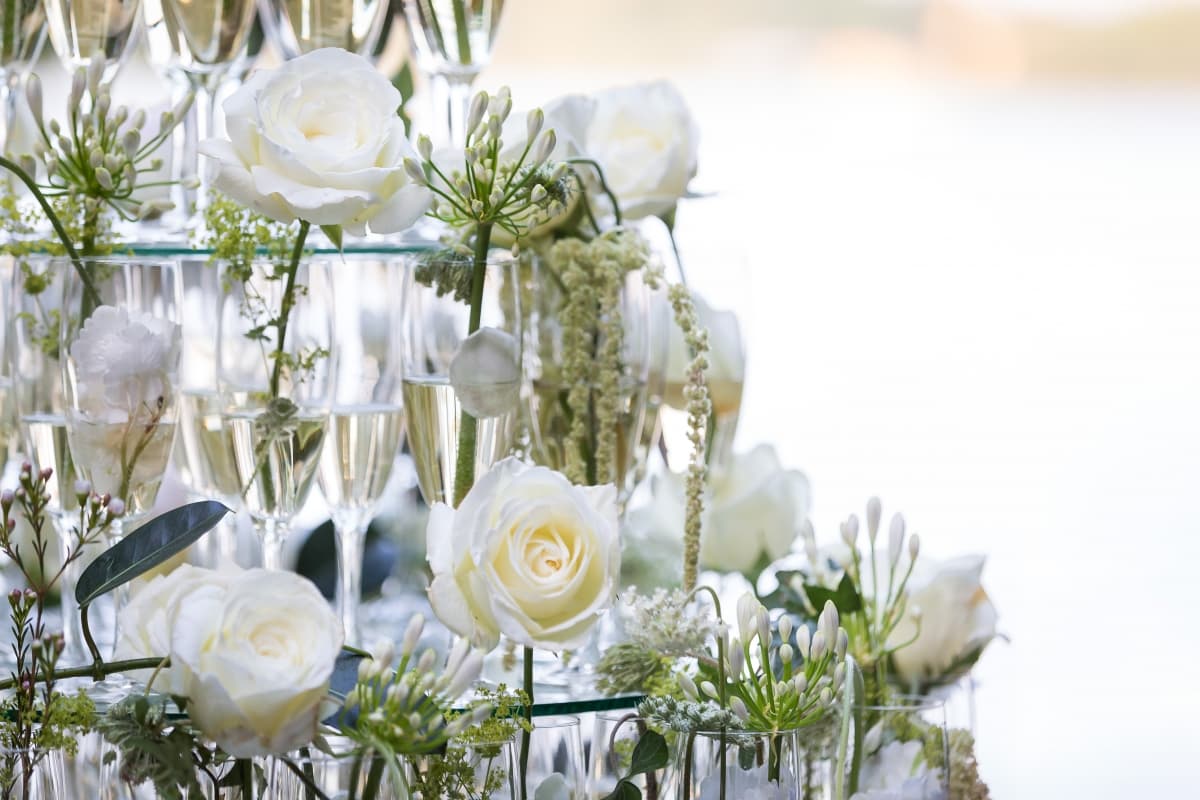 Fotografie de Photogenica la El Capitan