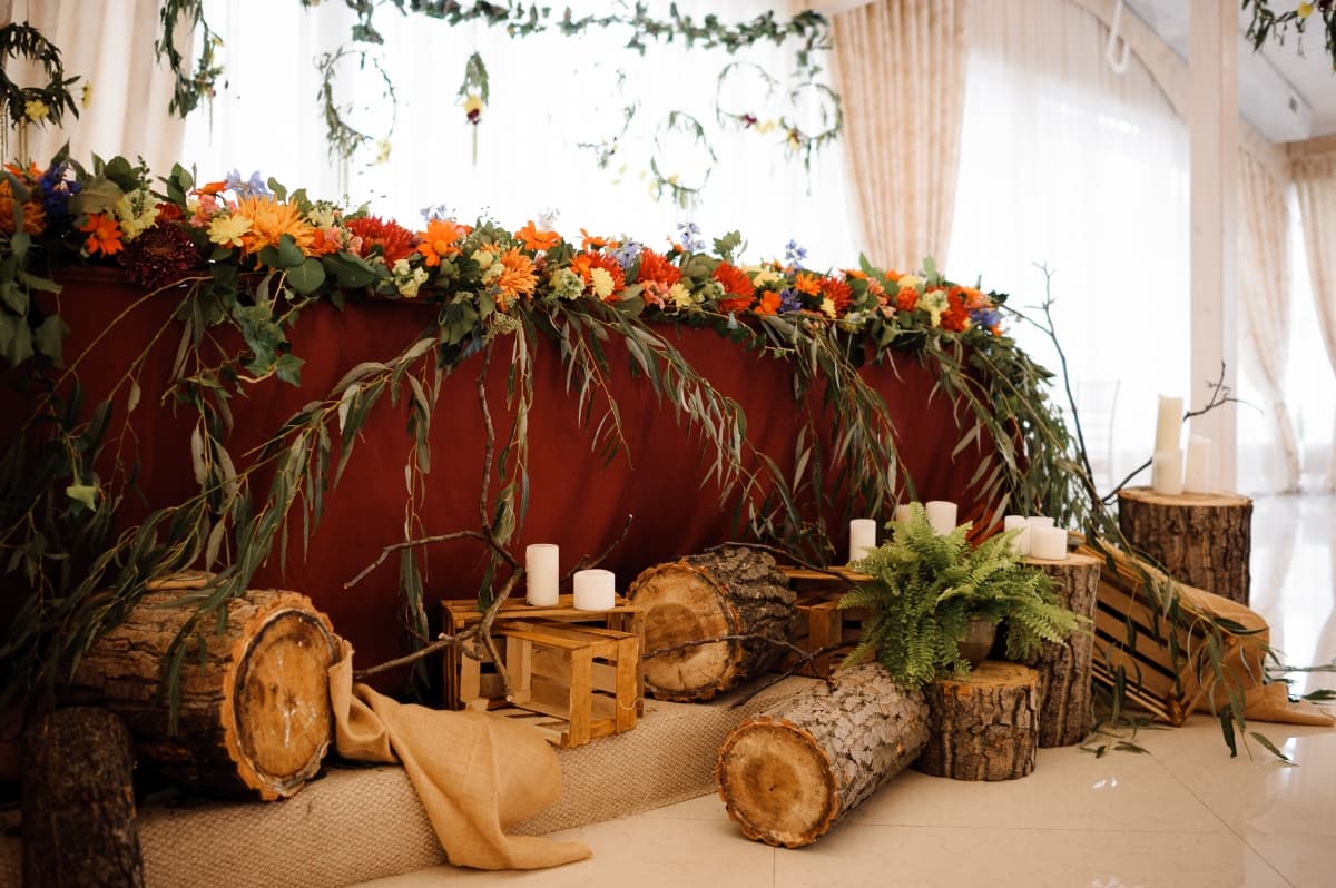 International Park - locatie pentru nunti in Pașcani, Raionul Criuleni