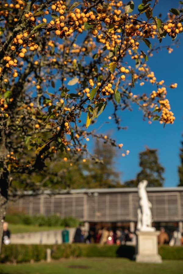 Fotografie de Florin Weddings la Painshill Events