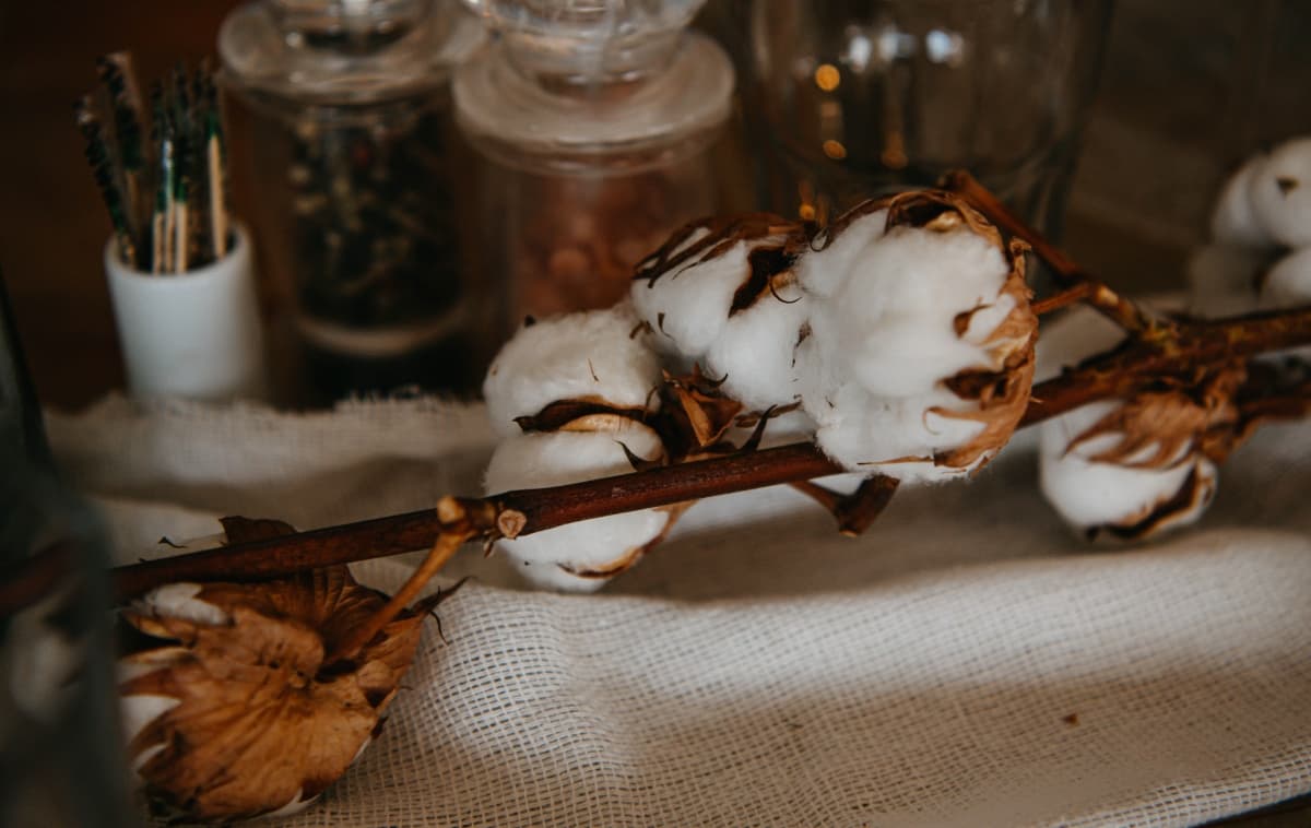 Summer Dine &amp; Vibe - locatie pentru nunti in Ișalnița, Dolj