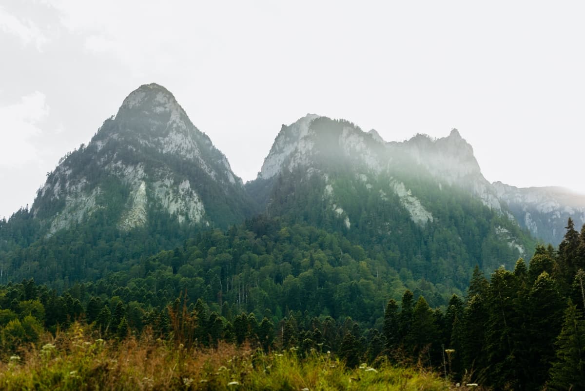 Busteni - locatie pentru nunti in Bușteni, Prahova
