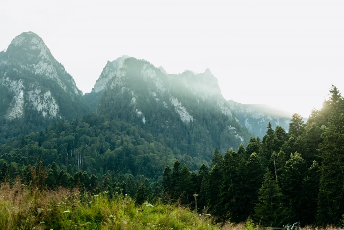 Fotografie de Bohemian Weddings  la Busteni