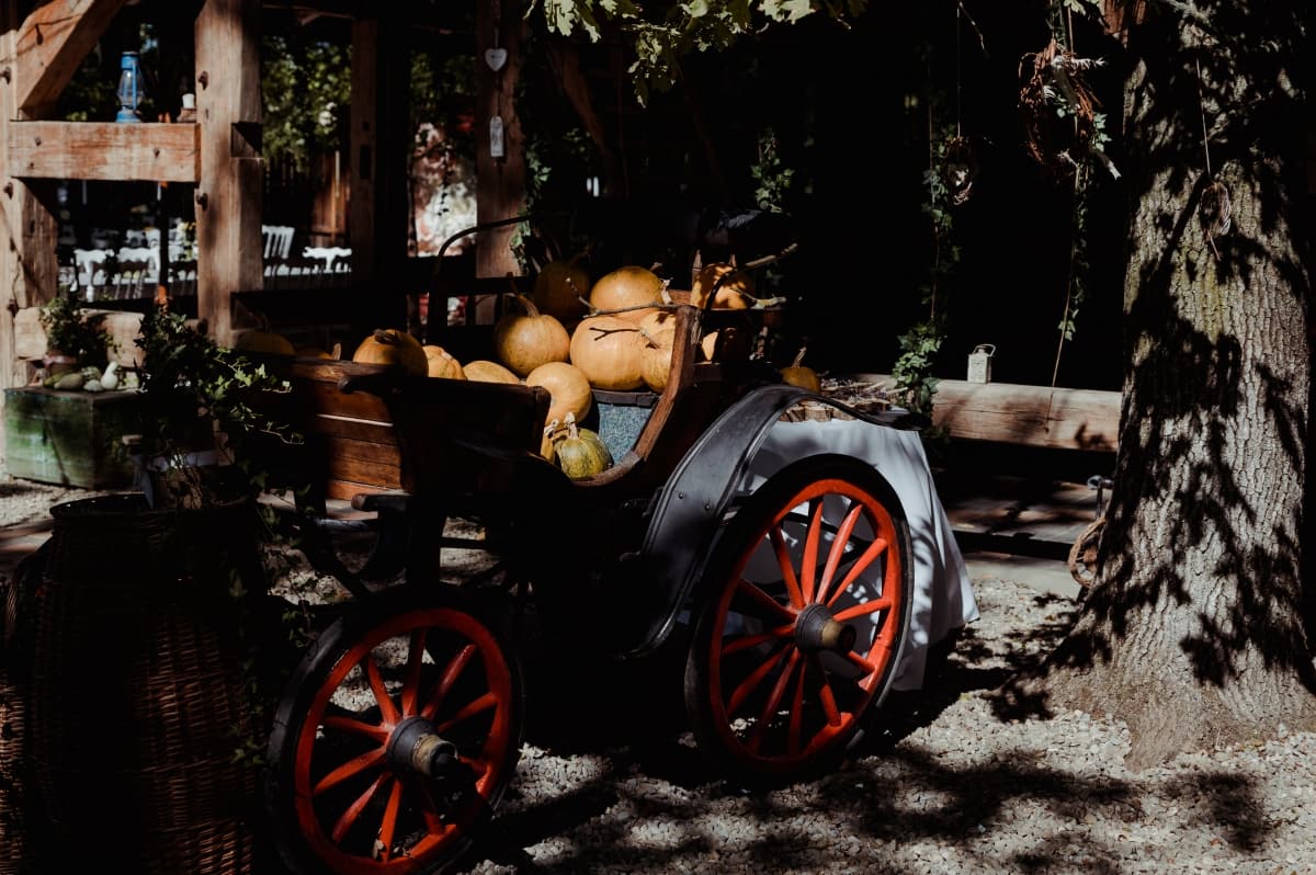 La Artar - locatie pentru nunti in Călugăreni, Dâmbovița