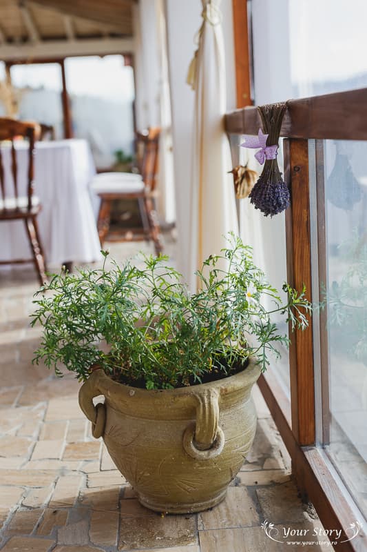 Fotografie de Your Story la Valea Draganului