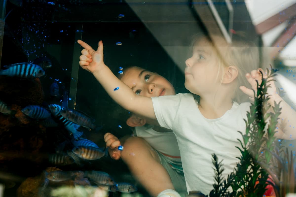 Fotografie de Romeo Mihail Photography la Restaurant Potcoava