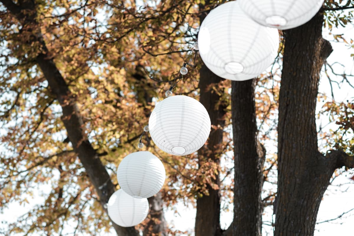 Fotografie de  Flavia Moldovan fotograf la Petry Estate Winery