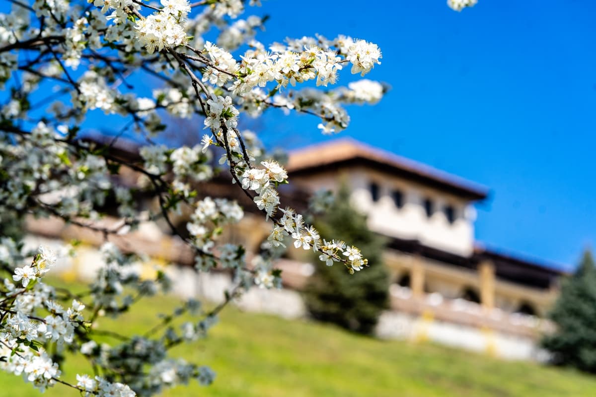 Domeniul Greaca - locatie pentru nunti in Greaca, Giurgiu