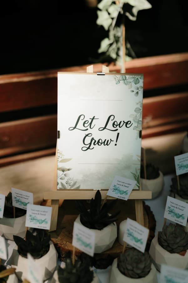 Fotografie de Wolves and Memories la La Artar