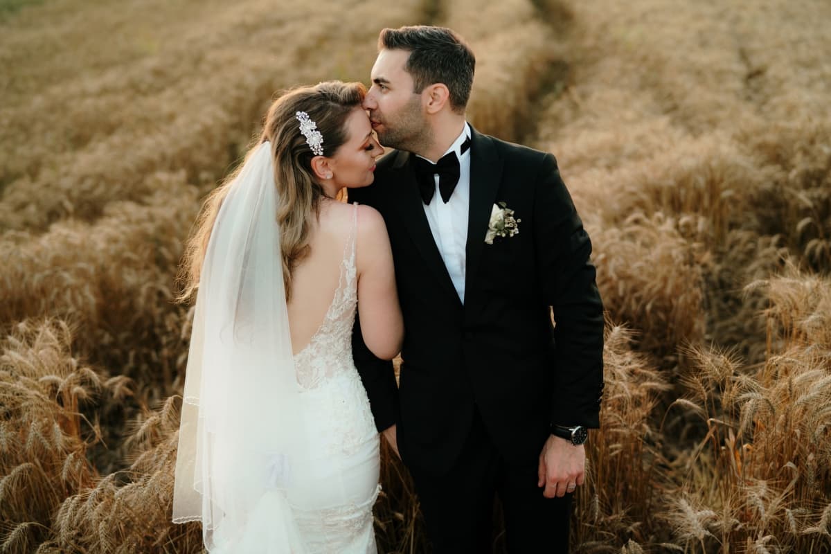 Fotografie de Wolves and Memories la La Artar