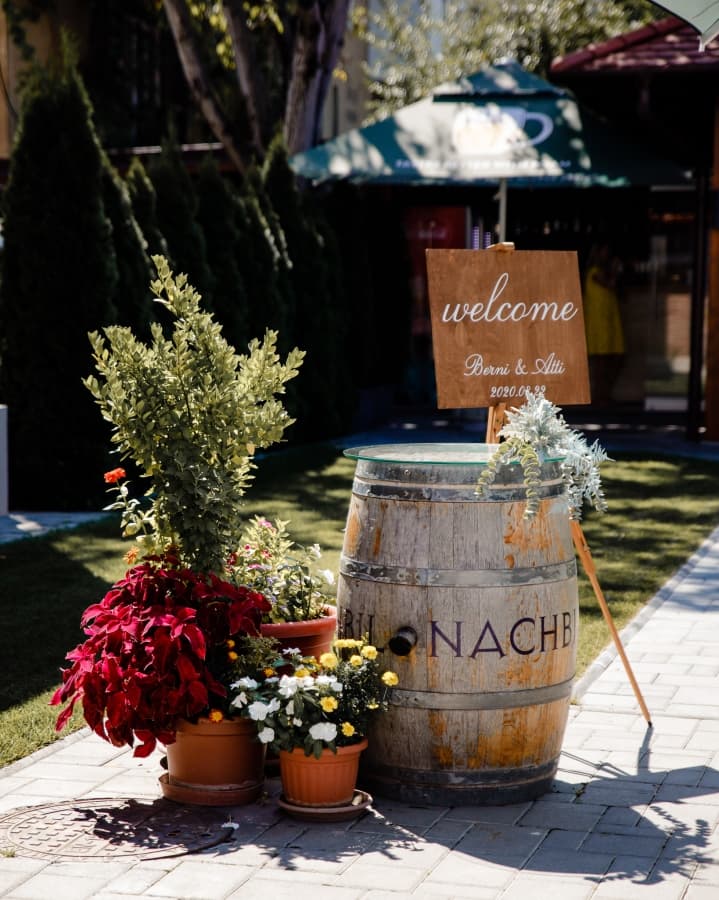 Fotografie de Balog Zsolt Photographer la The Dome