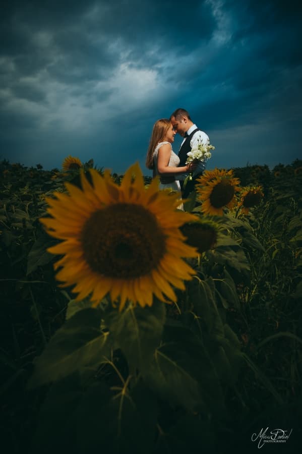 Fotografie de Micu Daniel la Sarichioi