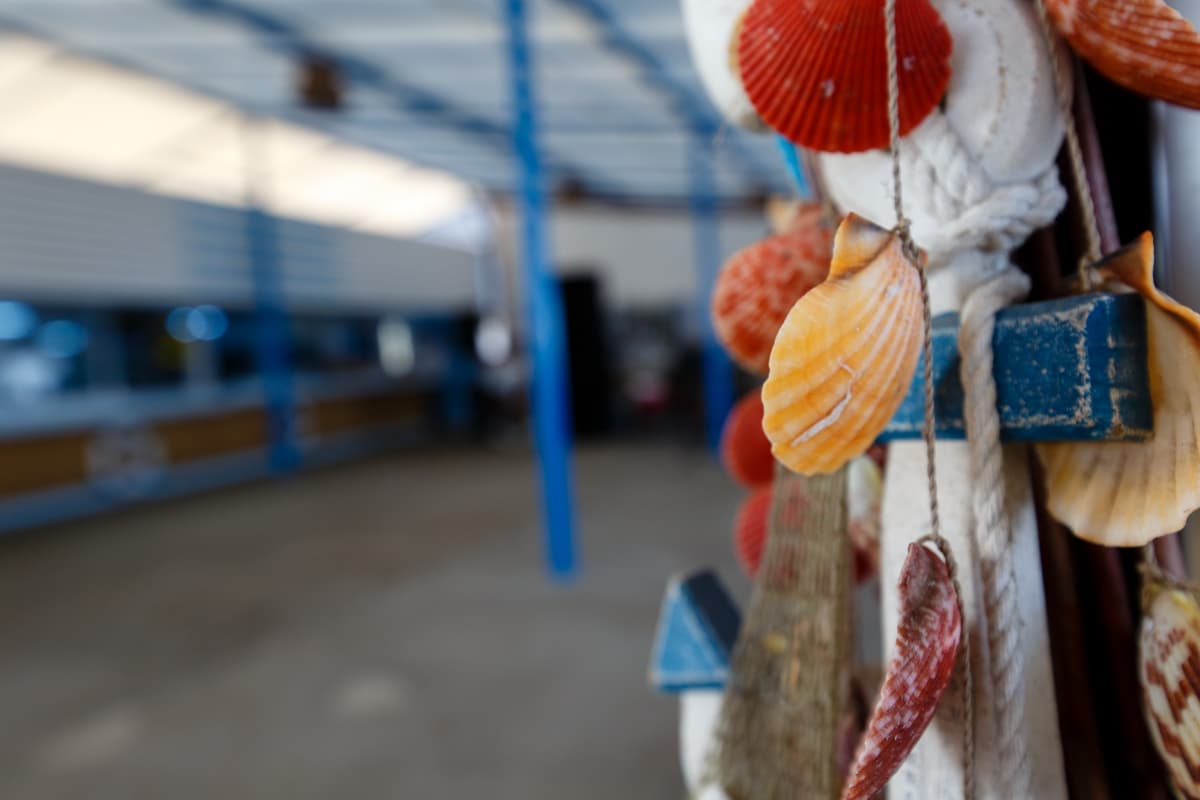 Fotografie de Bel Film Studio la Nautica