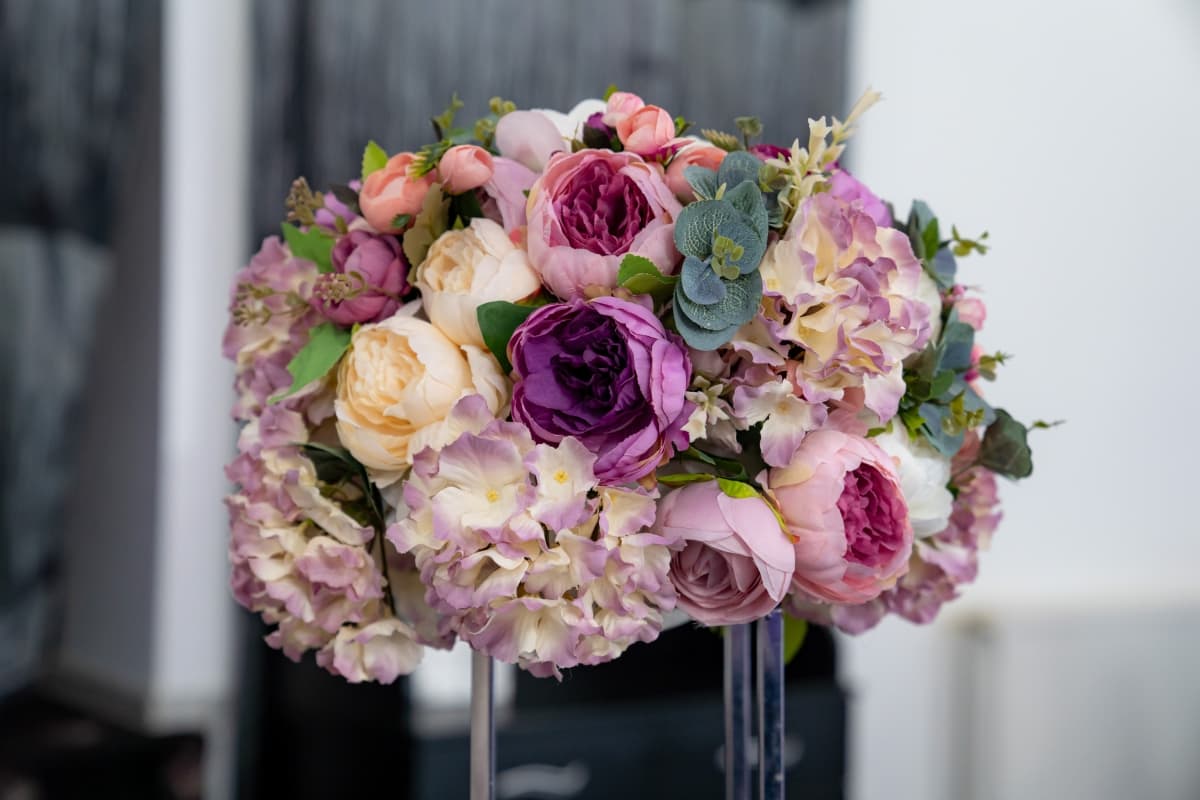 Fotografie de Bel Film Studio la PUB Techirghiol