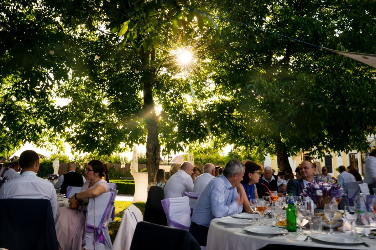 Castel Haller - locatie pentru nunti in Ogra, Mureș