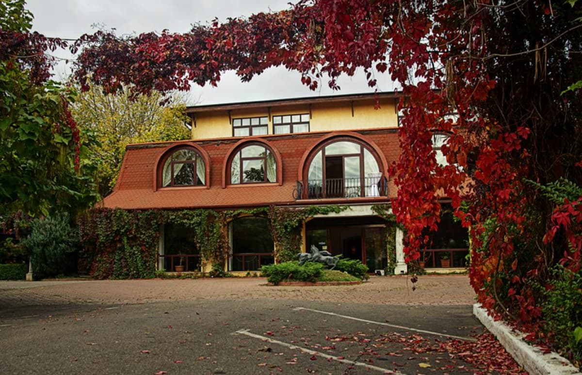 Fotografie de 7ARTs for Wedding - Foto &amp; Video la Mc Monis