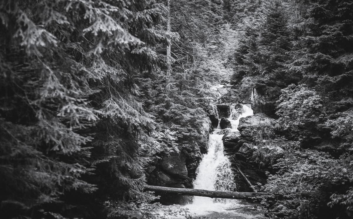 Fotografie de JIVAN Weddings la Muntele Mic