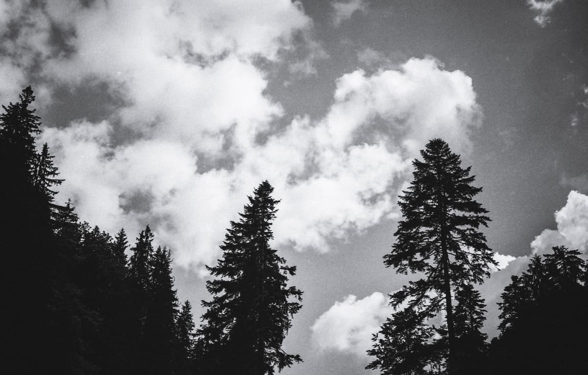 Fotografie de JIVAN Weddings la Muntele Mic