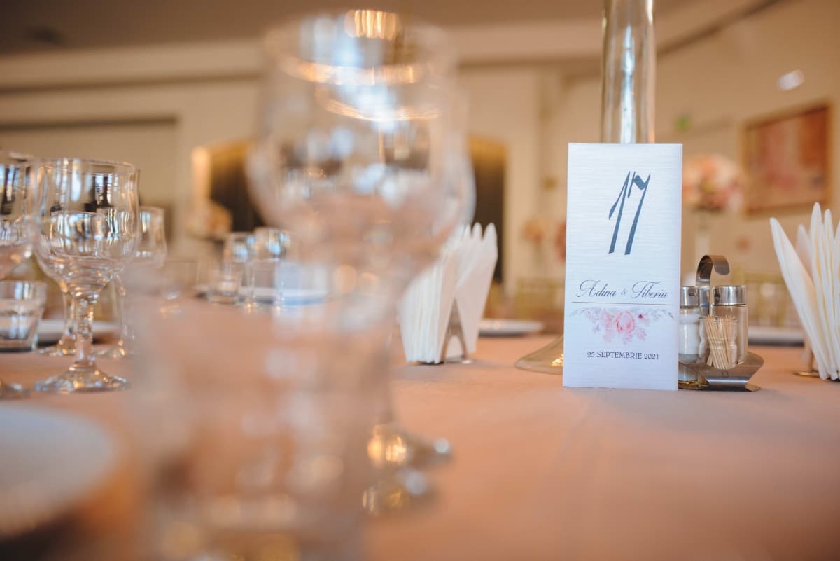 Pro Marriage Park - locatie pentru nunti in Râmnicu Vâlcea, Vâlcea