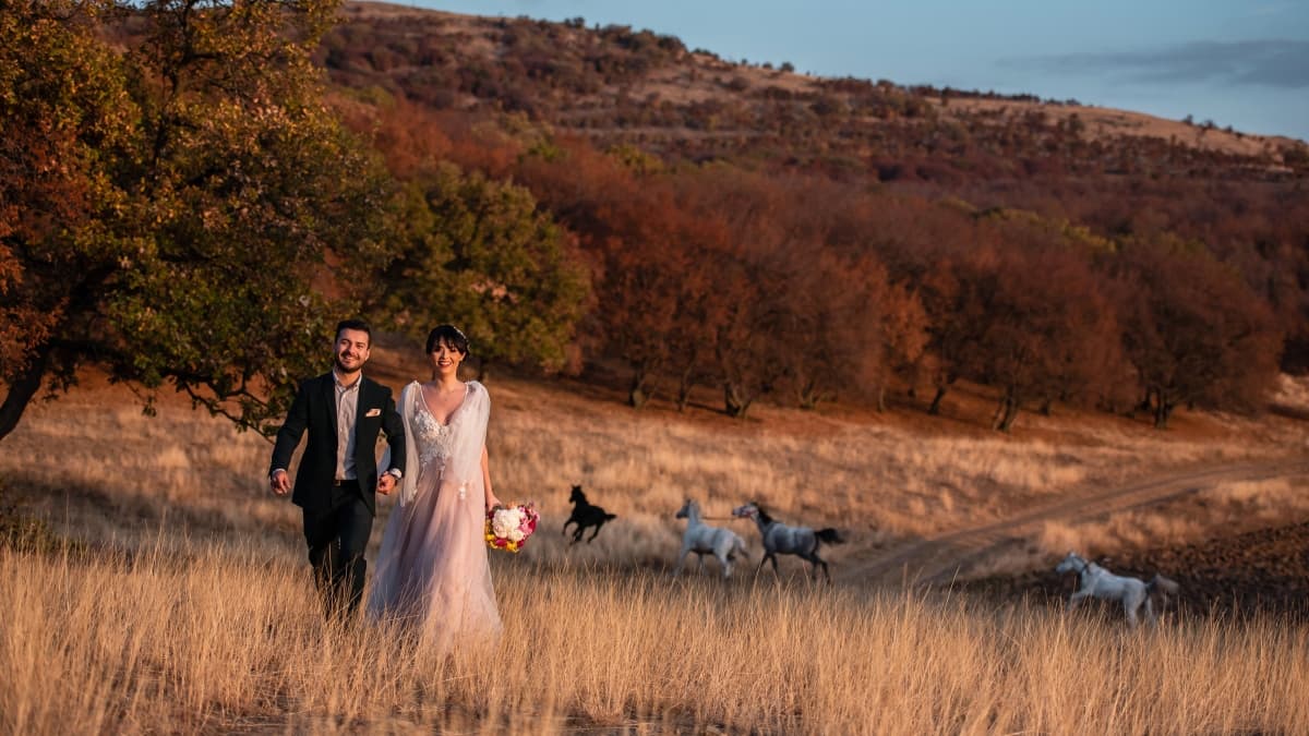 Fotografie de Simona Stanciu la Herghelia Padoc Cerna