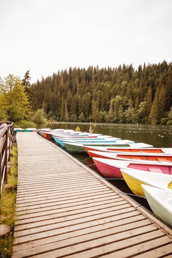 Fotografie de Alexandru Roman Photographer la Restaurant Lacu Rosu