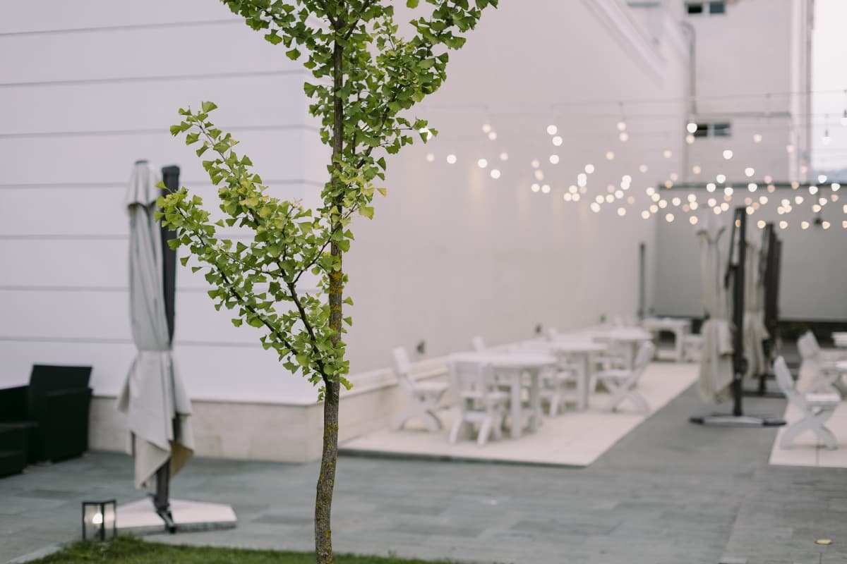 Fotografie de JIVAN Weddings la Hoha Events