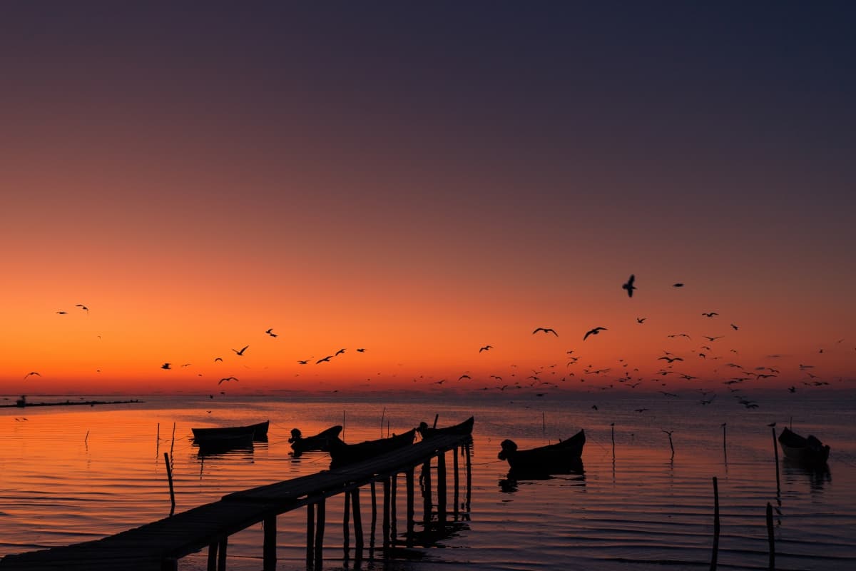 Fotografie de Micu Daniel la Lacul Razelm