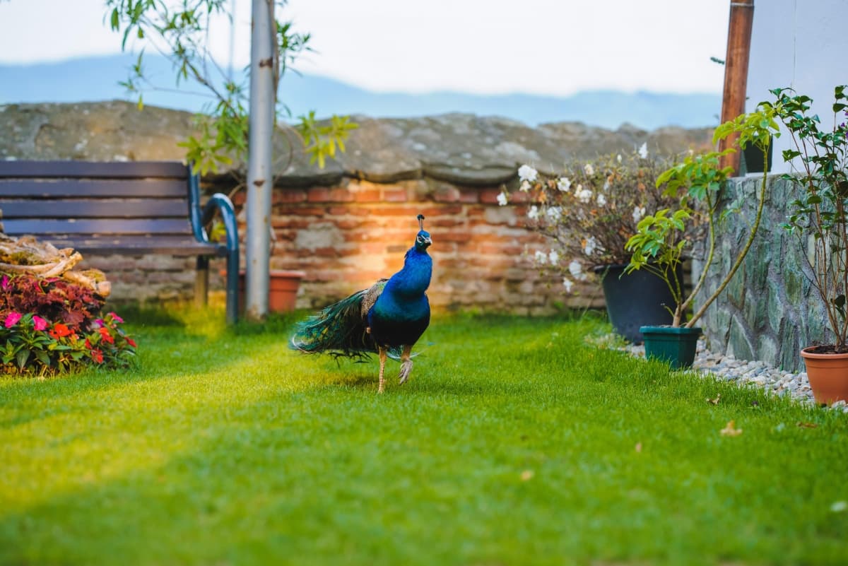 Schitul Cetatuia Ramnicu Valcea - locatie pentru nunti in Râmnicu Vâlcea, Vâlcea