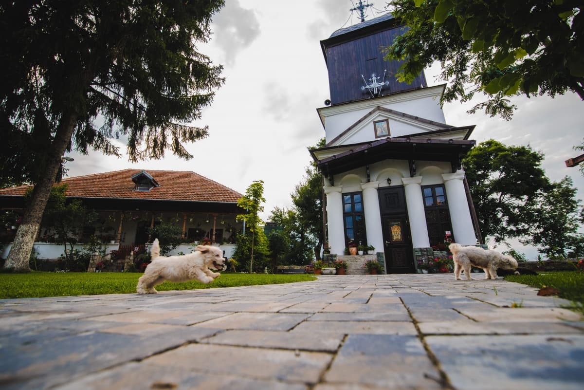 Fotografie de Constantin Alin la Schitul Cetatuia Ramnicu Valcea