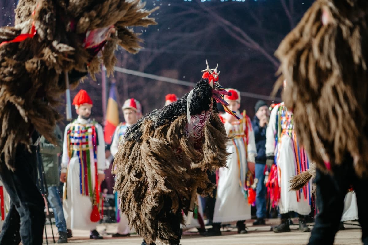 Fotografie de Gorgan Cosmin Fotograf la Primaria Dorohoi