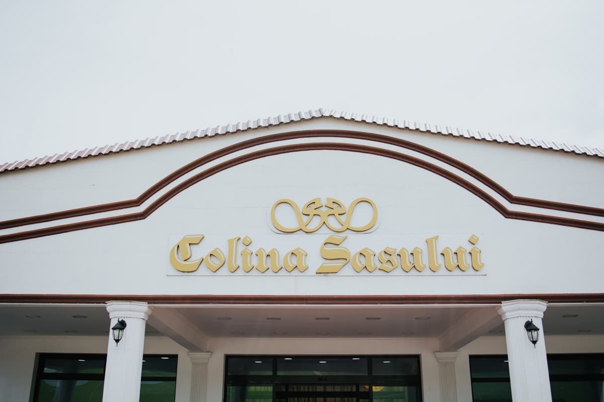 Fotografie de Besenyei Norbert la Colina Sasului